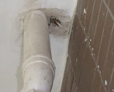 张北漏水检测哪家好